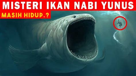 Inilah Wujud Dan Nasib Ikan Yang Menelan Nabi Yunus Youtube