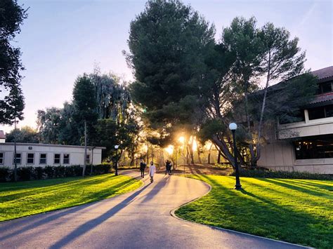 Green Library -2 – Stanford Arts