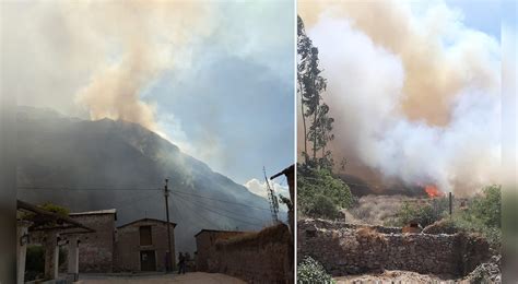 Arequipa Incendio Forestal Arras Con Flora Y Fauna En Cerros De