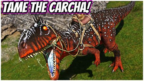 How To Tame The Carcharodontosaurus And Its Abilities Youtube