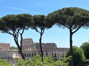 My Free Self Guided Colosseum Tour In Rome