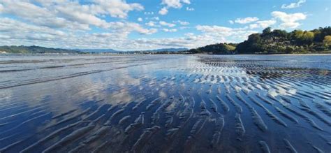 280+ Whitianga Stock Photos, Pictures & Royalty-Free Images - iStock