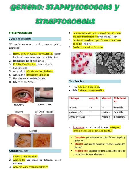 Staphylococcus Y Streptococcus Infecciones Pi Genas Udocz