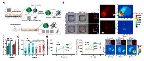 Single Exosomes Exosome Rna