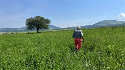 Srbija I Poljoprivreda Obustava Blokada Puteva Poljoprivrednici I