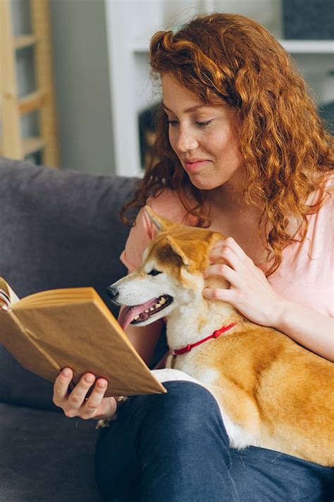 Live Webinar Körpersprache des Hundes dogademy