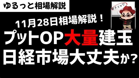 【11月28日のゆるっと相場解説】日経上昇からは一服感。先物オプションの動きはどう？ズボラ株 株式投資 動画まとめ