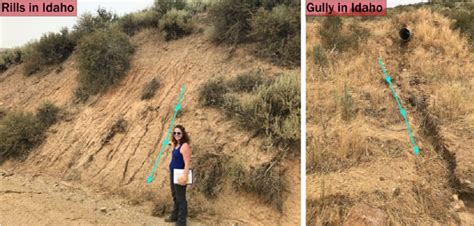 Examples of rills and a gully in a semiarid environment. | Download ...