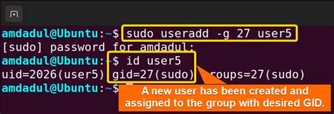 The Useradd Command In Linux Practical Examples