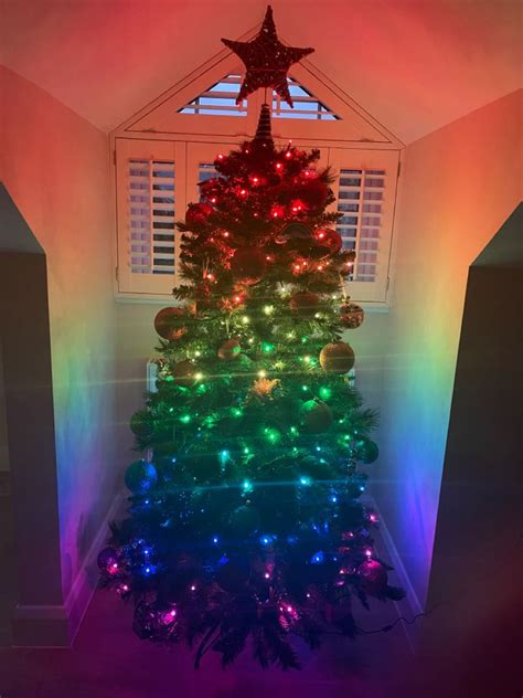 Rainbow Christmas Tree | Christmas tree decorating themes, Rainbow christmas tree, Christmas ...