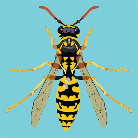 realistic vector image of a wasp on a blue background. detailed drawing