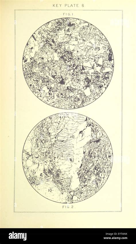 British Petrography: with special reference to the igneous rocks. With ...