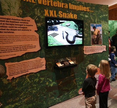 Visitors to "Titanoboa: Monster Snake" watch a Smithsonian Channel documentary about the 60 ...