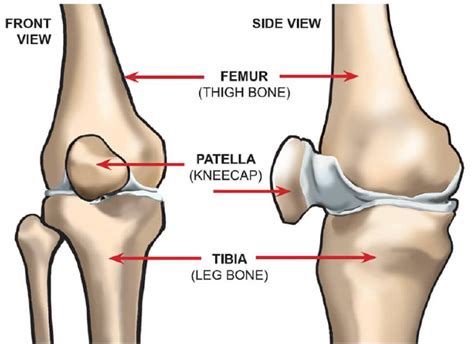 Knietrauma Frakturen Der Patella Des Tibiaplateaus Und Des Distalen