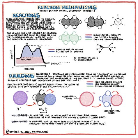 Organic Chemistry Educational Infographics Chemistry Reactions Artofit