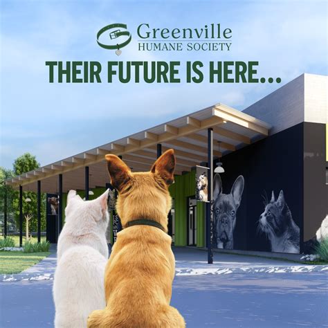 Discover Local Greenville