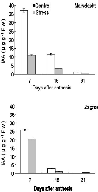 Effect Of Water Stress On The Indol Acetic Acid Iaa Content Of Wheat