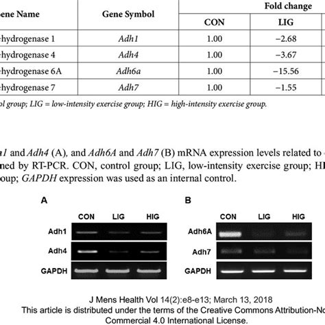 Microarray Analysis of Alcohol Dehydrogenase Gene Expression | Download ...