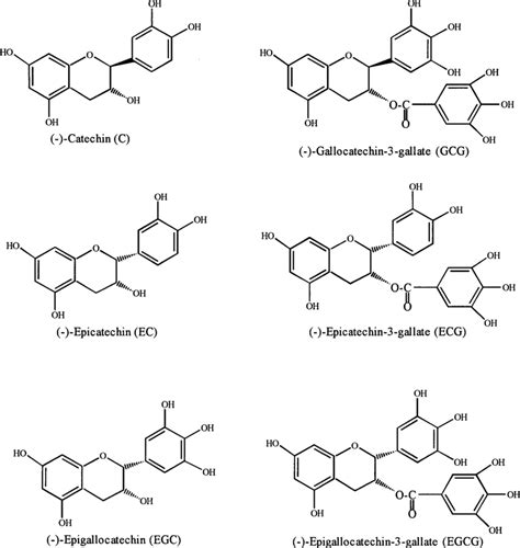 Molecular Structures Of Various Green Tea Catechins Download