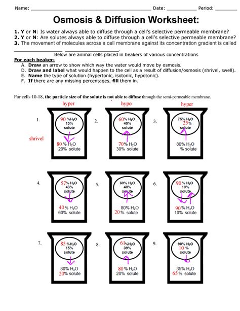 OsmosisandDiffusionWorksheet 3 Docx Name Pd Date Diffusion