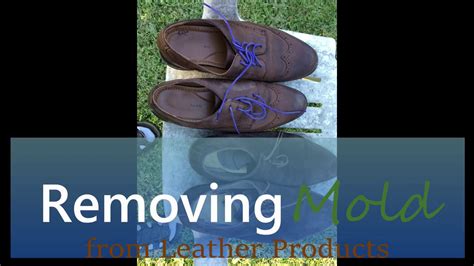 Home How To Remove Mold From Leather Products Eg Shoes Wallet