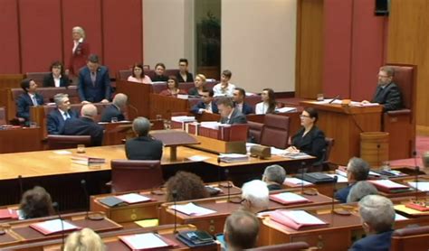 Same Sex Marriage Bill Passes Senate Wamn News Online