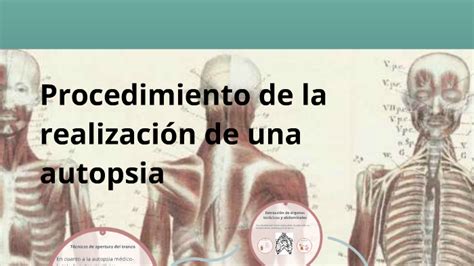 Procedimiento de la realización de una autopsia by Helen Sol on Prezi