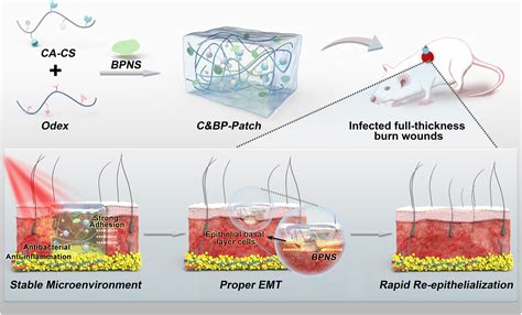 A Multifunctional Black Phosphorus Based Adhesive Patch Intrinsically