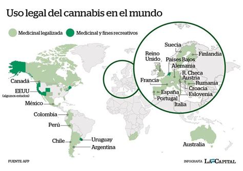 La Legalización Del Cultivo De Cannabis Y Los Beneficios De Su Uso Medicinal Zona Ele