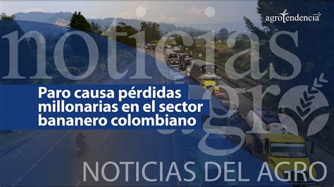 🔴 Paro De Camioneros Causa Pérdidas Millonarias En El Sector Bananero Colombiano Nda Youtube