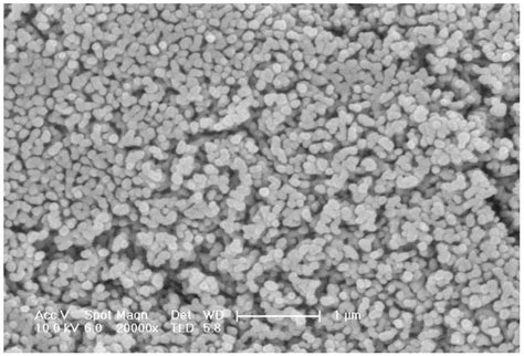 纳米多孔铜负载氧化铜纳米片阵列复合材料及其制备方法与流程