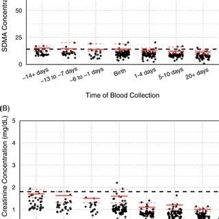 Foal Symmetric Dimethylarginine Sdma And Serum Creatinine