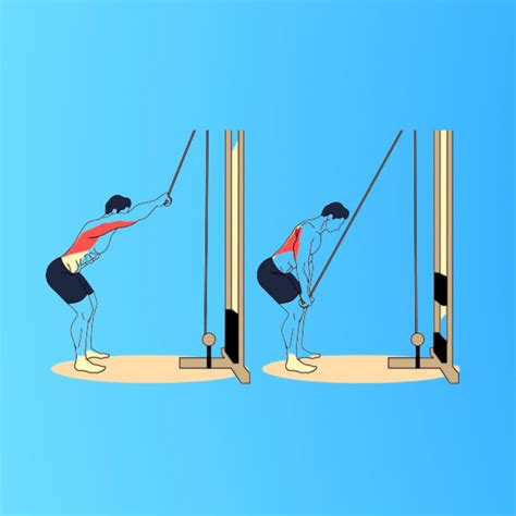 Lat Pulldown With Resistance Band: How To Properly Perform?