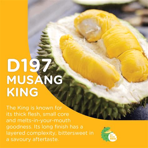 Types Of Durian In Singapore And Tips For Choosing Fresh Ones