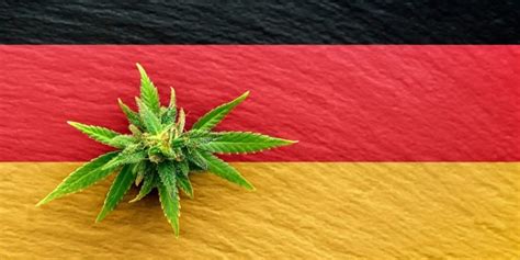 Germany's Legalization Draft Bill - Cannabis | Weed | Marijuana | News