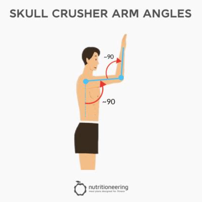 Best Skull Crusher Alternative Exercises For Huge Triceps