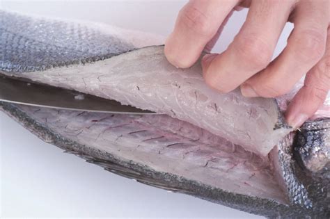 How To Fillet A Round Fish Leiths Education