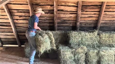 Boys First Day In Hay Mow And John Deere 520 Powering Jd Elevator Youtube