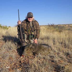 Javelina Hunting USA | AfricaHunting.com