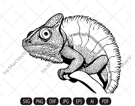 Chameleon SVG / Chamaeleons SVG / Lizard Svg/ Blend Adapt Change Color ...