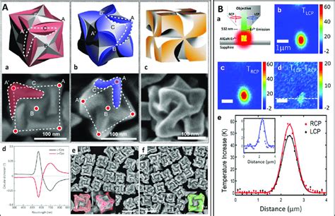 A Chiral Gold Helicoids Obtained By Amino Acid Or Peptide Directed