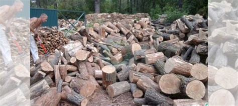 Дрова берёзовые купить в Москве | Товары для дома и дачи | Авито