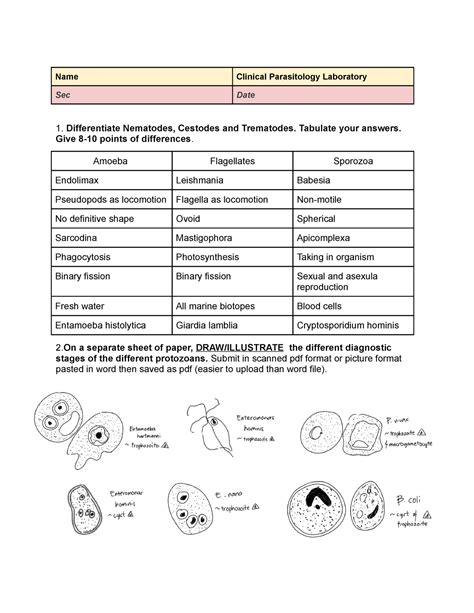 Clinical Para Lab Eqa Name Clinical Parasitology Laboratory Secdate