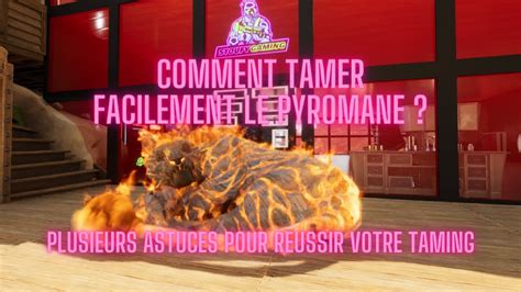 Comment Tamer Facilement Le Pyromane Youtube