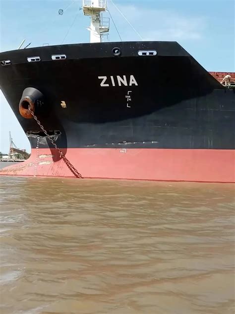 Un Buque Carguero Chocó Contra El Puente Zárate Brazo Largo E Hizo Temblar Toda La Estructura