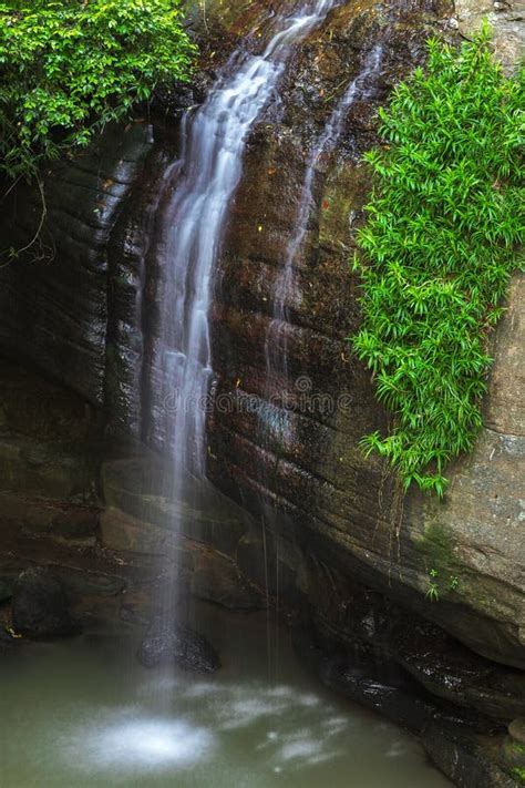 Serenity Falls And Swimming Hole In Buderim Forest Park Sunshine Coast