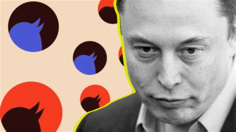 Musk Tan Twitter Da Cinsiyetlerle Alakal Bir Kelimeye Yasak Webtekno