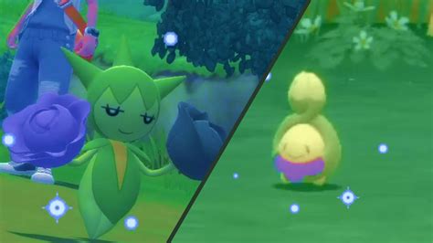 Shiny Budew And Evolution Pokemon Brilliant Diamond Youtube