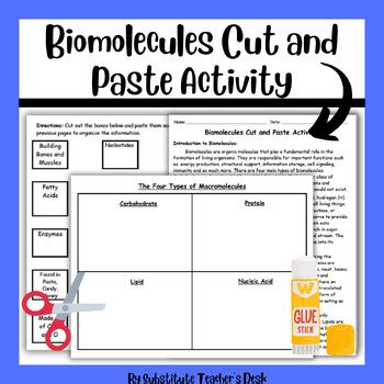 The Four Types Of Biomolecules Cut And Paste Activity And Reading