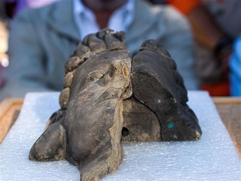 2,600-year-old Stone Busts of ‘Lost’ Ancient Tartessos People Were Discovered in a Sealed Pit in ...